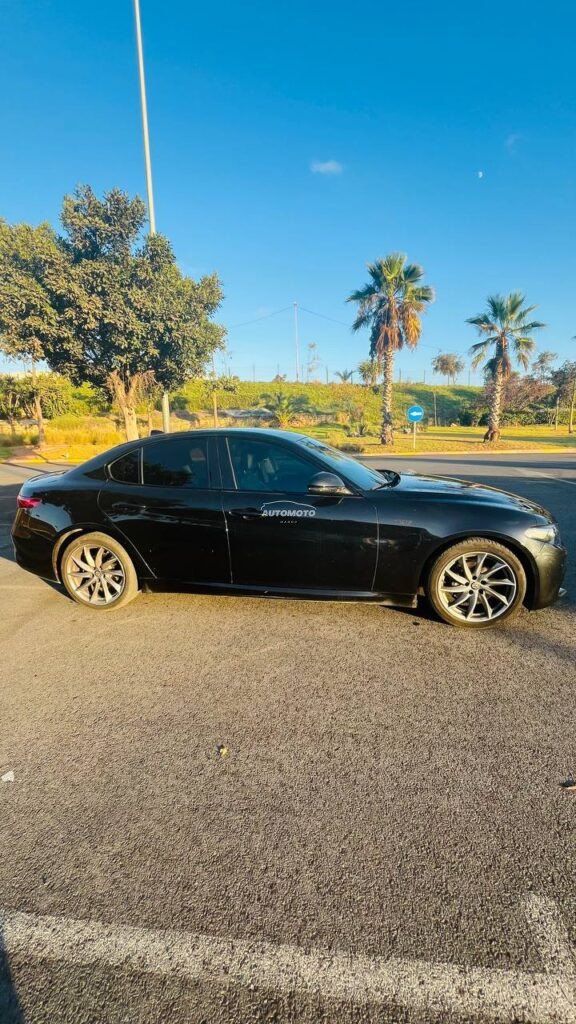 alpha-romeo giulia-alpha-romeo