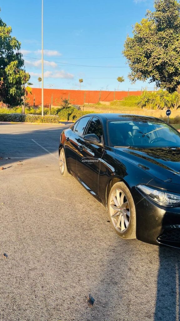 alpha-romeo giulia-alpha-romeo