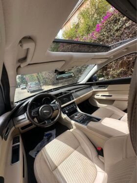 Jaguar xf-jaguar