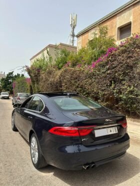 Jaguar xf-jaguar