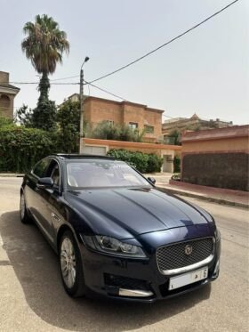 Jaguar xf-jaguar