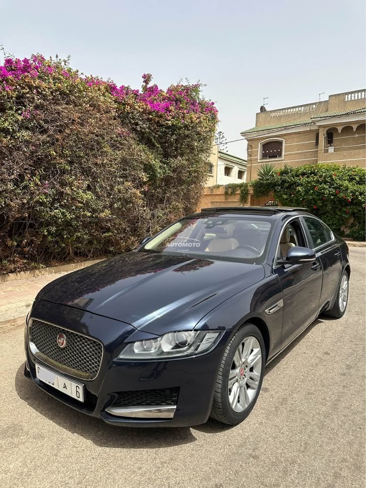 Jaguar xf-jaguar